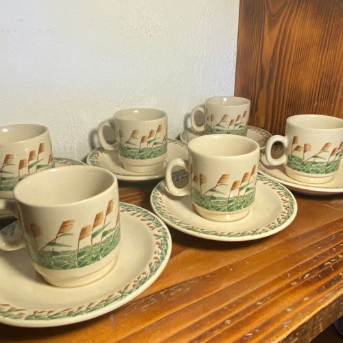 Vintage coffee espresso cup set of 6 with saucers rustic design