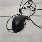 Mouse used unknown condition