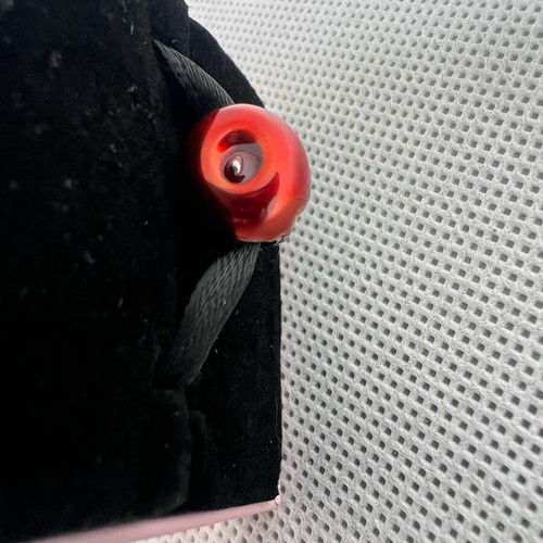 Apple symbol s925 new, red and silver charm