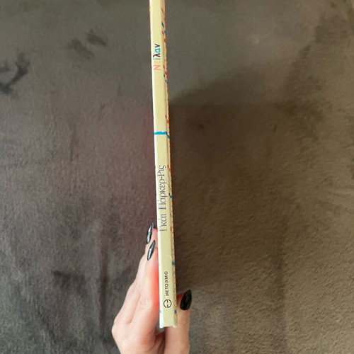 Dylan the Merchant like new children's book