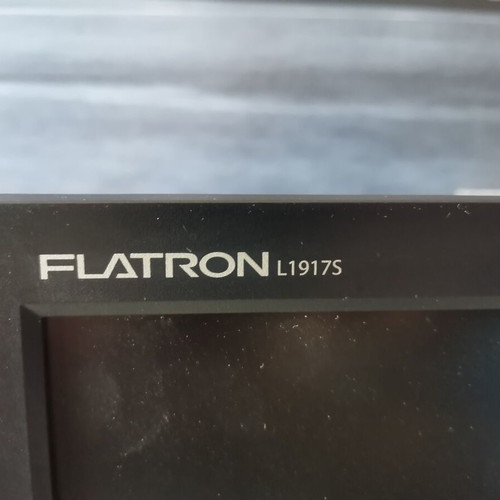 LG Flatron 19" L19175 monitor used with D-sub input