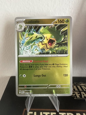 Ludicolo Pokemon Card new condition