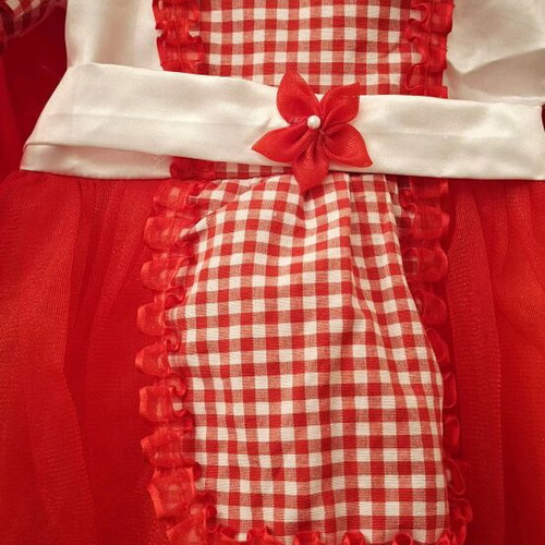 Carnival costume Red Riding Hood checked baby like new