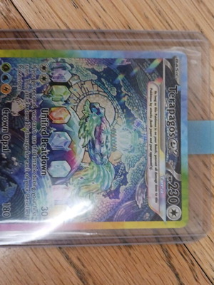 Terapagos EX Pokemon card special rare illustration new