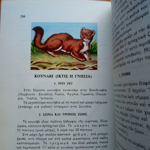 Book Plants and Animals Fourth Grade Elementary Excellent Condition