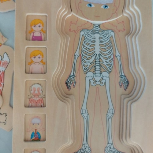 Wooden puzzle human body multi layer like new