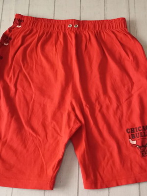 Vintage Chicago Bulls shorts used, authentic