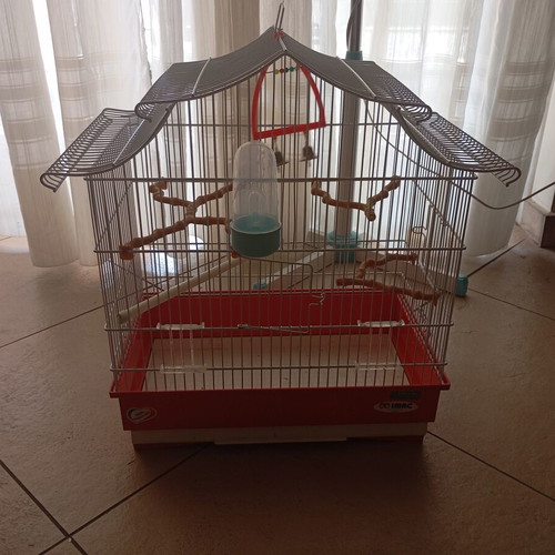 Birdcage with accessories