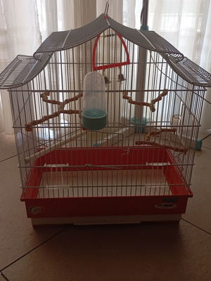 Birdcage with accessories