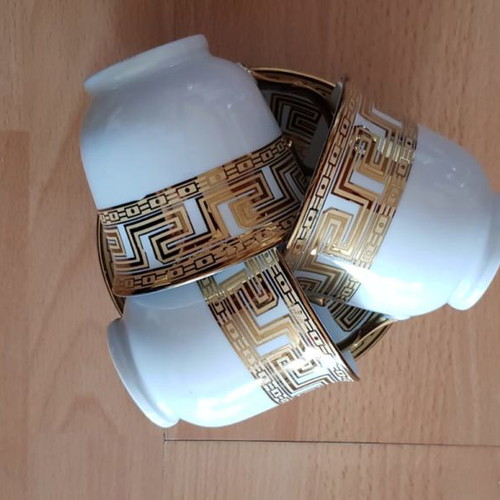 Euro Porcelain tea cup coffee set with 24K gold detail new