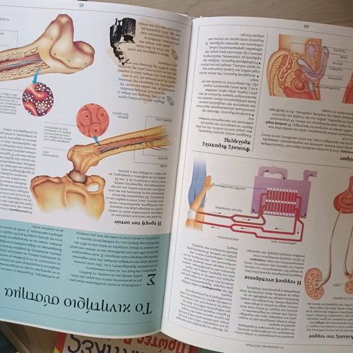 Health and Body book set like new, 8 volumes for the whole family