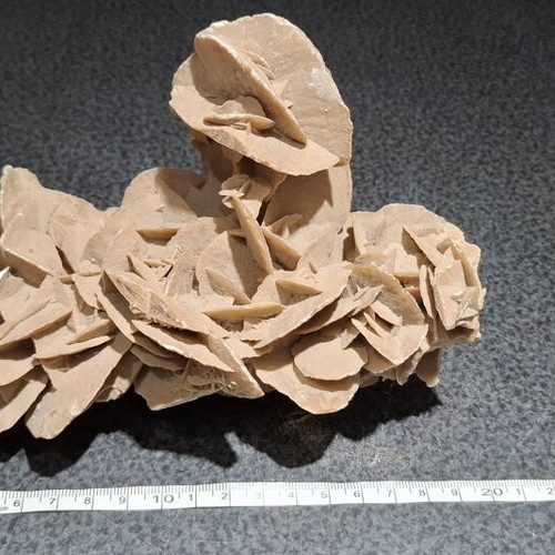 Desert Rose Collection (2 Rare Mineral Pieces - 1.16kg Total)