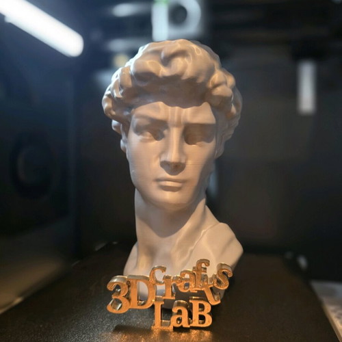 David bust by Michelangelo 3d printed new, about 20cm