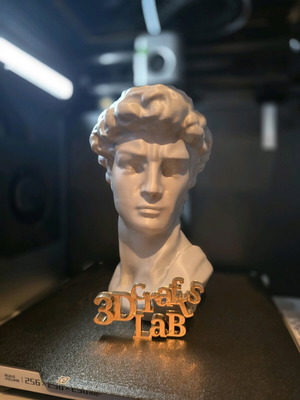 David bust by Michelangelo 3d printed new, about 20cm
