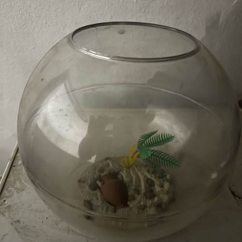 Fishbowl like new