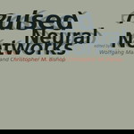 Βιβλίο "Pulsed Neural Networks", W.Maas & C.Bishop, MIT Press, 1999