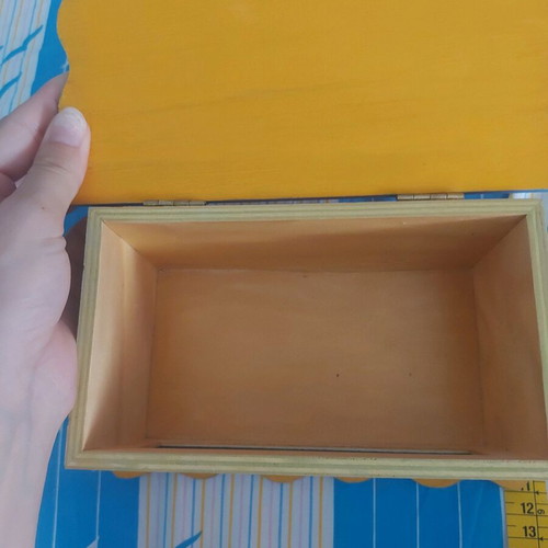 Storage box used hand-painted with The Lion King design