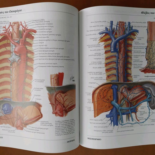 Atlas of Basic Medical Sciences used, Volume 1: Human Anatomy