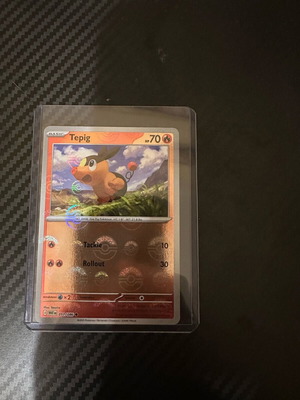 Tepig 011/086 Reverse Holo Pokeball mint