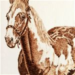 Άλογο - Πίνακας Πυρογραφίας