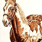  Άλογο - Πίνακας Πυρογραφίας