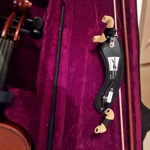 Student violin new