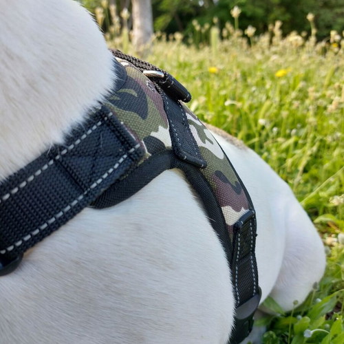 Dog harness size L new with adjustable straps and clip