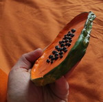 Papaya ceramic decorative new