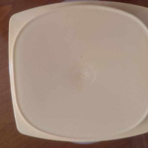 Mini Tupperware Cheese Container with Ventilated Lid, New