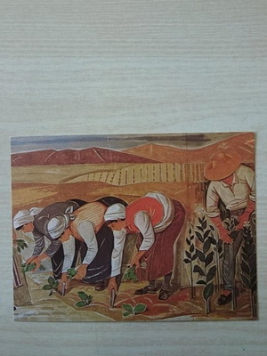 Συλλεκτική καρτ ποστάλ Ελλάς-Χώρα του καπνού Ασπιώτη-Ελκα καινούργια