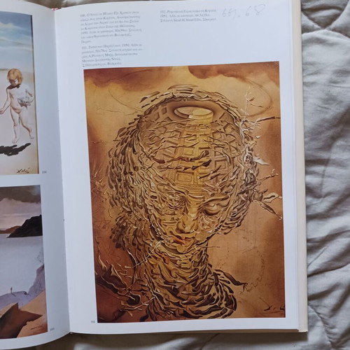 Dali book used with pencil notes