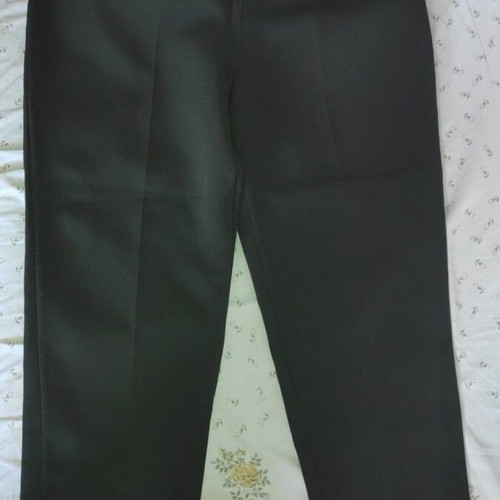 Kelly's olive high-waisted suit pants new, size M
