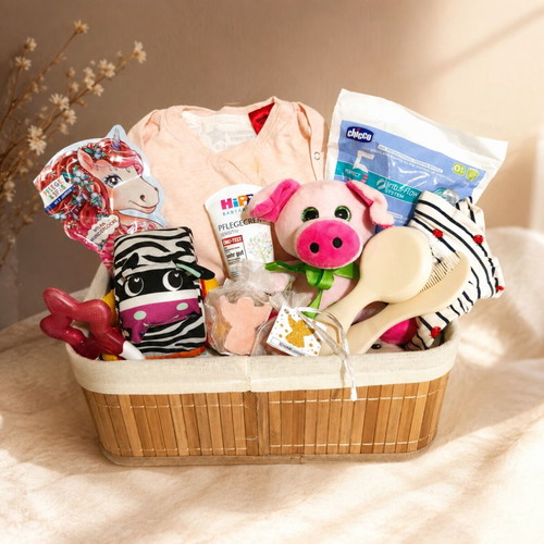 Newborn Baby Girl Gift Basket, 12 baby items, 0-3 months