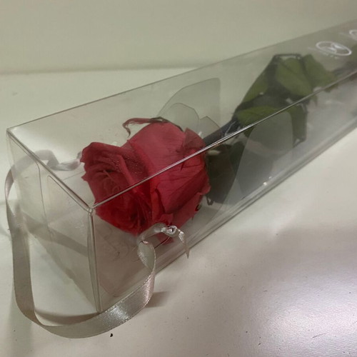 Preserved everlasting rose 56cm height 7cm diameter new