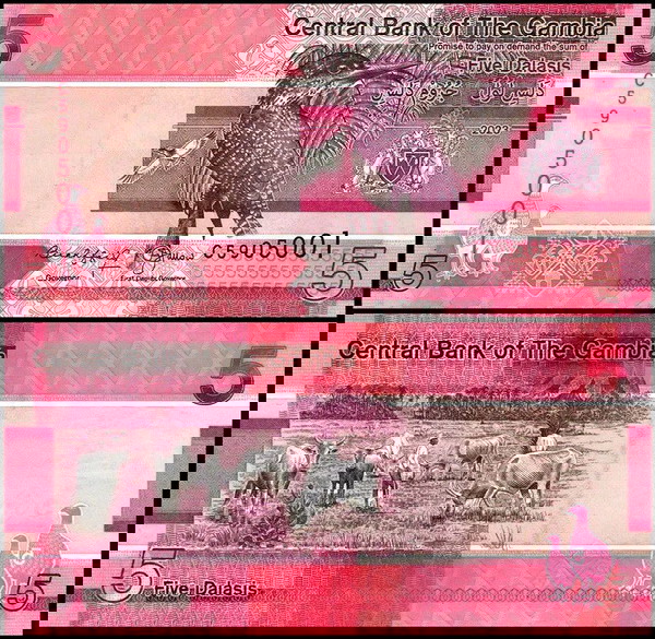 ΓΚΑΜΠΙΑ - 5 Dalasis 2023 - UNC