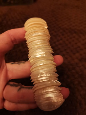 Elastic bracelet used, white