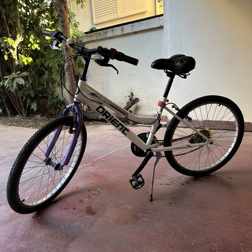 Orient Comfort city bike with anatomical saddle, 26 inch