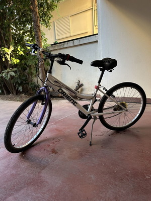 Orient Comfort city bike with anatomical saddle, 26 inch