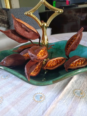 Керамична винтидж Blue Mountain Pottery фонданиера нова