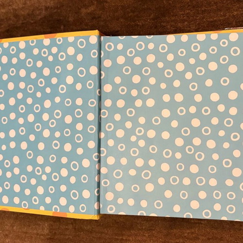 Photo albums in two different designs like new