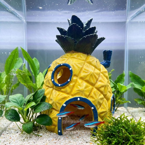 Aquarium decoration SpongeBob pineapple house like new