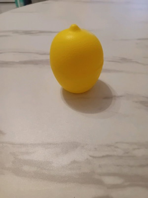 Lemon storage container new