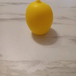 Lemon storage container new