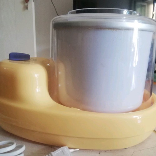 Carmelita Ice Cream Maker