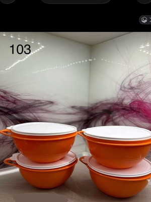 Tupperware Bowls New Airtight and Durable