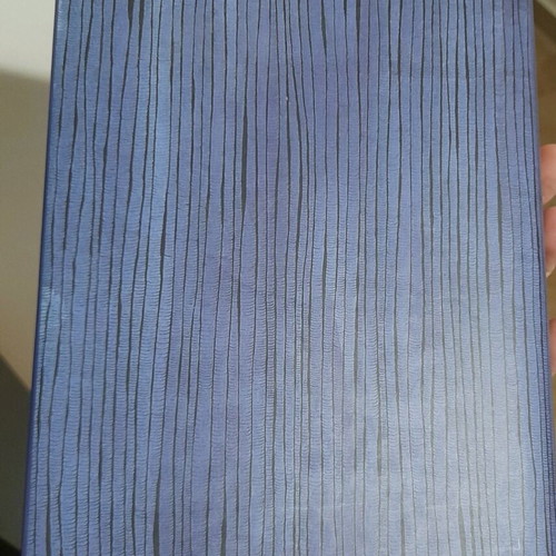 The 13 1/2 Lives of the Blue Bear hardcover book new