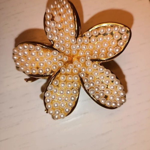Hair Clip with Pearls new