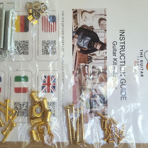 Strat Style Guitar Parts in Gold Color, New