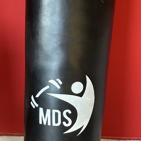 Boxing bag like new with chain, wall mount and Twins 10oz gloves