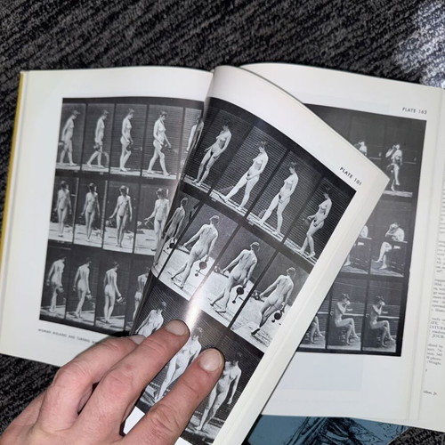 Leonardo da Vinci On the Human Body & Eadweard Muybridge The Human Figure in Motion books